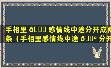 手相里 🍁 感情线中途分开成两条（手相里感情线中途 🌺 分开成两条线好不好）